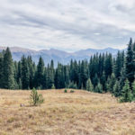 Dark green pine trees line a field of tan, dormant grass. Hazy mountains and a light grey, cloudy sky line the background