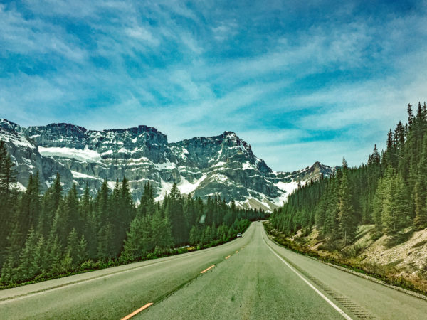 Long straight paved road lined with tall, green pine trees, looking towards craggy, grey mountains with bands of snow covering them