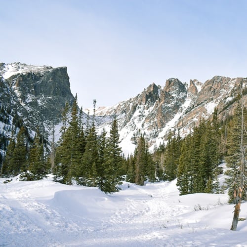 Tall mountains covered in snow with pine trees and deep snow in the foreground