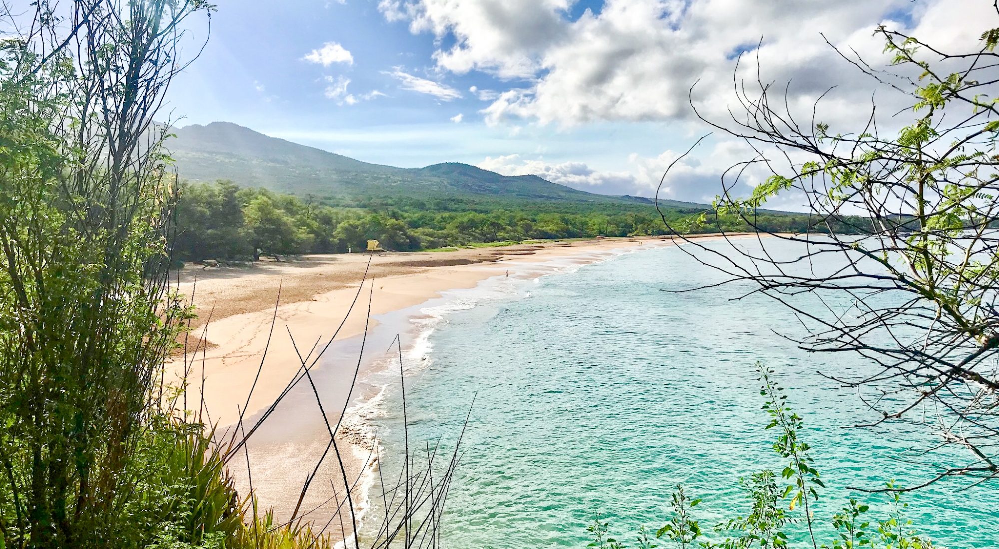 Vertical view of a beach through tall, green bushes. Golden beach, calm turquoise water, and green mountains stand behind the sand